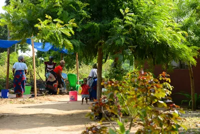 DSC_8125 (Large).JPG